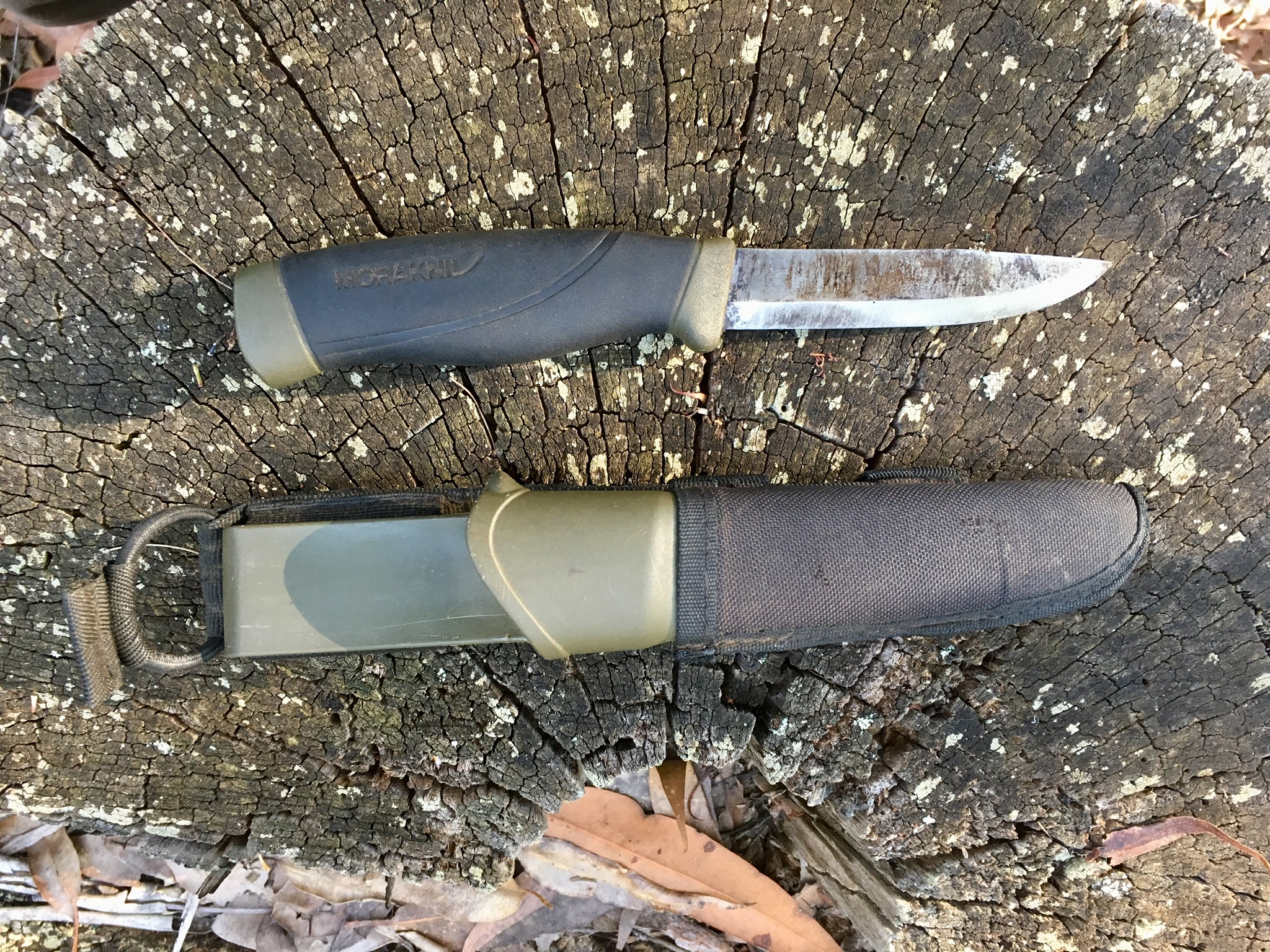 præcedens ulv omvendt Choosing a knife for use in the outdoors - Bushcraft Survival Australia